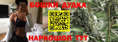 стаф Новозыбков